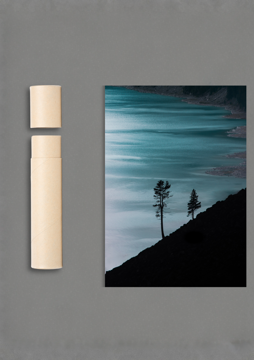 Twin Trees