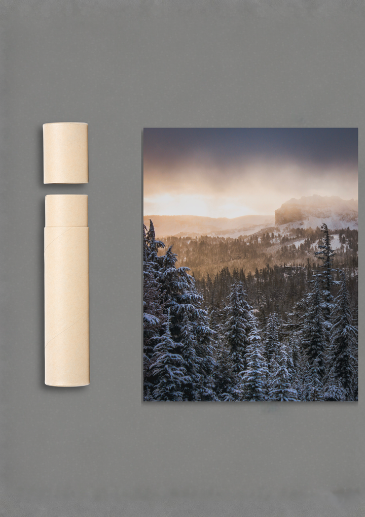 Golden Mist