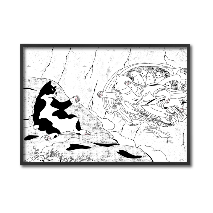 Creation of Cat-dam