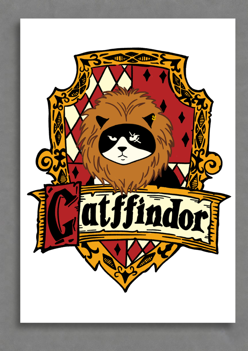 Catffindor