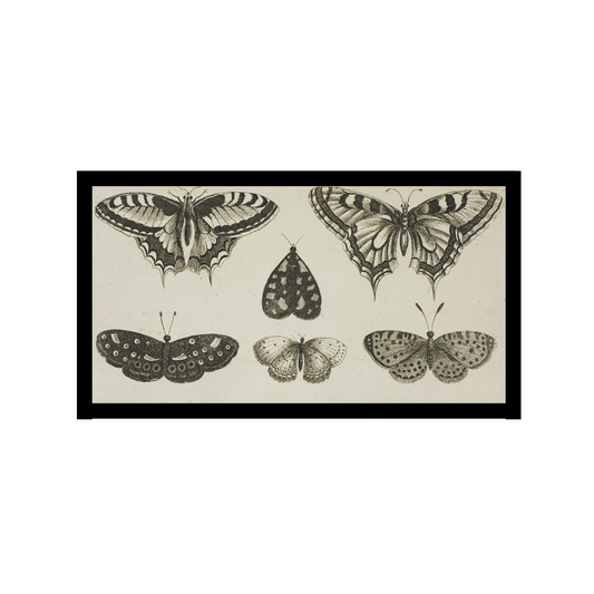 Butterfly Family illustration poster